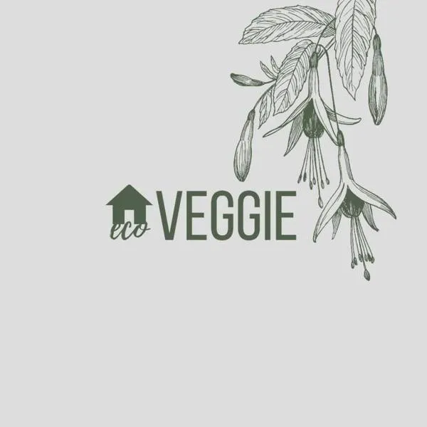 eco veggie，位于埃斯佩兰萨的酒店