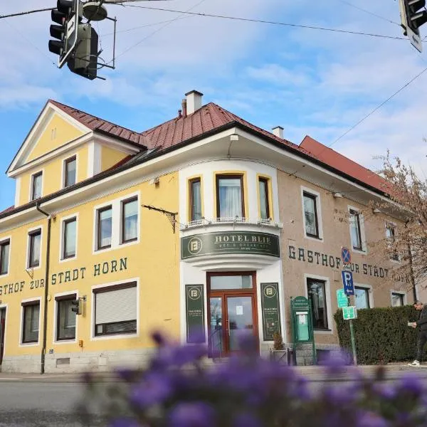 Hotel Blie, Bed & Breakfast, Self Check-in，位于Weitersfeld的酒店