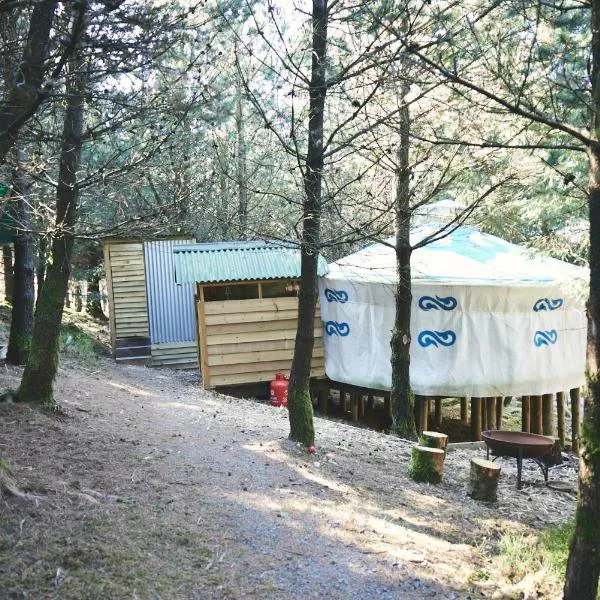 Mushroom Yurt，位于Llanfihangel-y-creuddyn的酒店