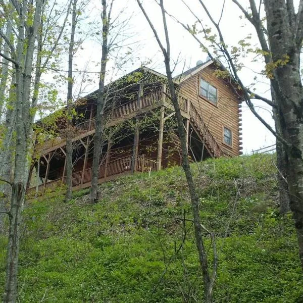 Glens of Antrim Mountain Cabin，位于韦恩斯维尔的酒店