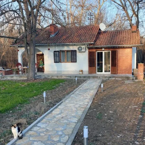 Vikendica Zajecar，位于Zvezdan的酒店
