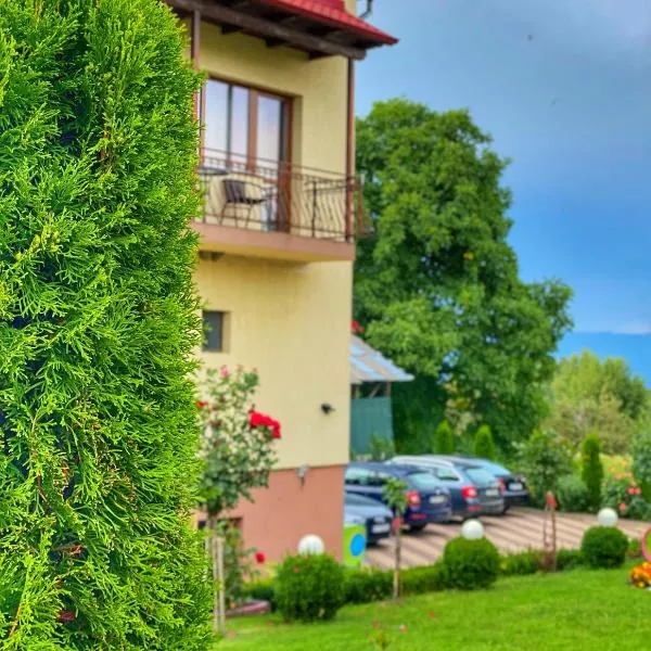 Pensiunea Cristiion，位于Valea Bădenilor的酒店