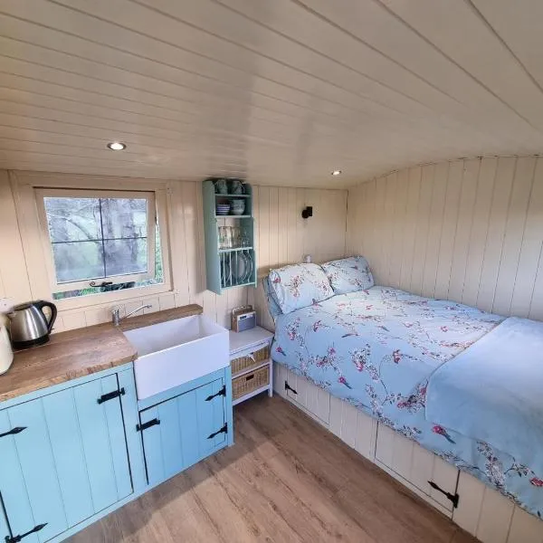 Delilah the shepherd's hut，位于Sidlesham的酒店