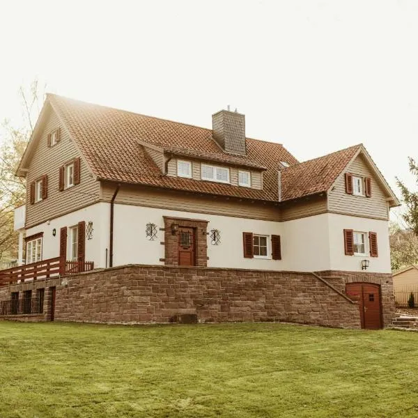 Waldchalet Am Steinberg，位于韦尼格罗德的酒店