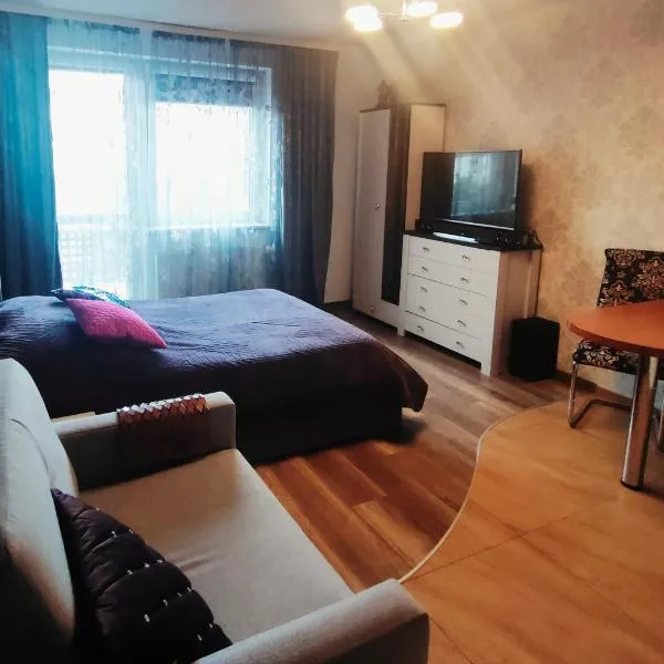 Apartament Klonowa，位于德兹维济诺的酒店