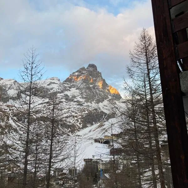 Appartamento + box a Cervinia con vista，位于布勒伊-切尔维尼亚的酒店