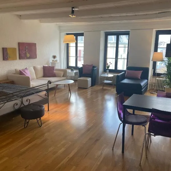 Joline private guest apartement Studio 45m2，位于Nidau的酒店