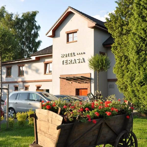 Hotel Terasa，位于弗里代克-米斯泰克的酒店
