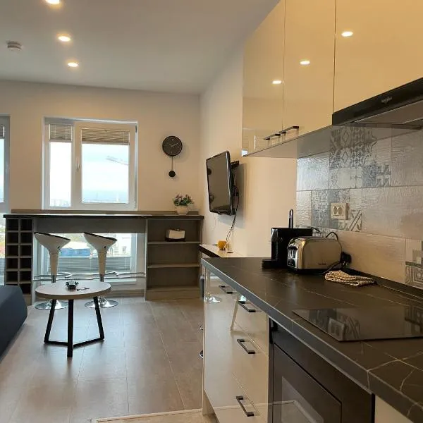 Beautiful Penthouse Lakeview W18，位于布加勒斯特的酒店