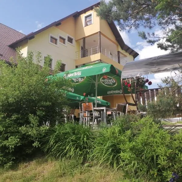 Pensiunea Valurile Bistritei，位于瓦特拉多尔内的酒店