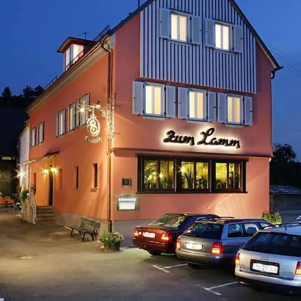 祖姆拉姆旅馆，位于劳达-柯尼希斯霍芬的酒店