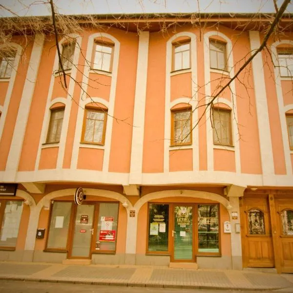 可梦赛斯瑞达帕兹旅馆，位于豪伊杜索博斯洛的酒店
