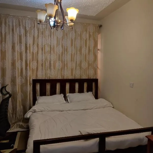 Classy Spacious Studio - Waiyaki Way，位于Kikuyu的酒店