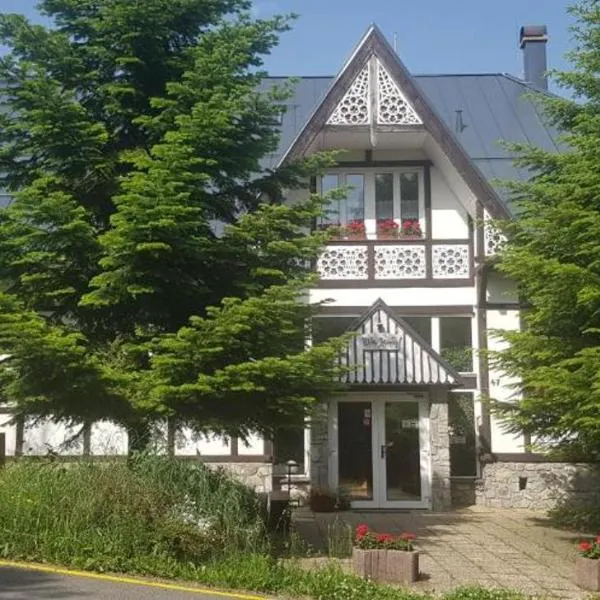 Vila Jedľa，位于高塔特拉山的酒店