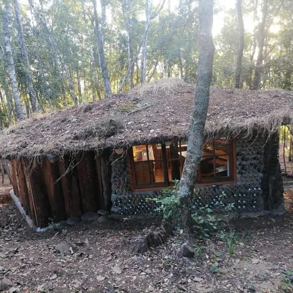 Cabaña Amor de los Tronquitos, Camino Villarrica，位于Traitraico的酒店