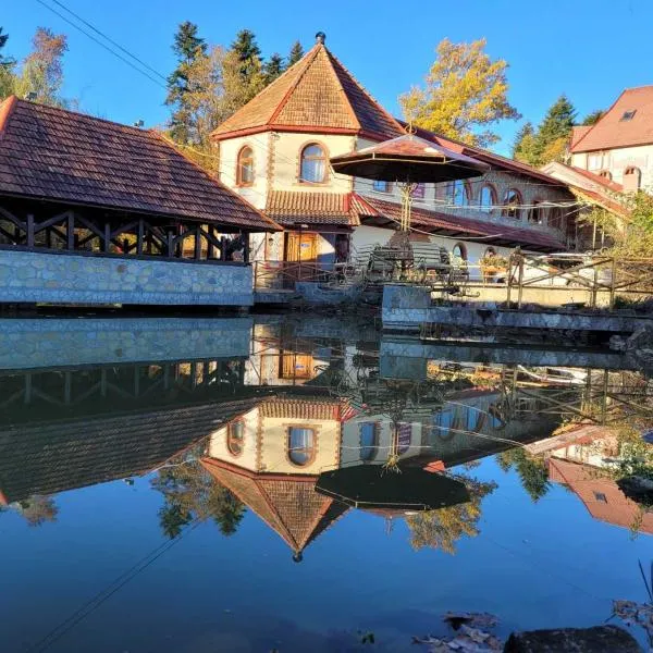 Ворота Карпат，位于Loyevaya的酒店