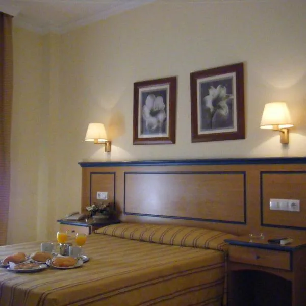 米拉多尔酒店，位于La Ballenera的酒店