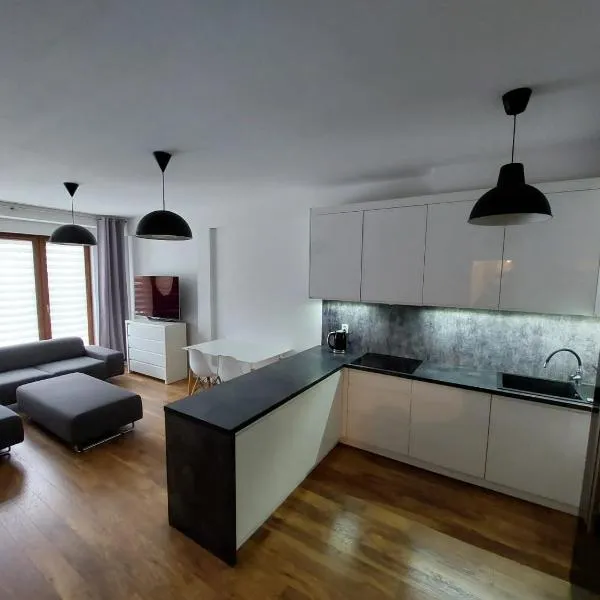 Apartament Reformacka，位于威利兹卡的酒店