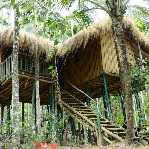 Greenways Tree House and Mud House，位于Srimangala的酒店