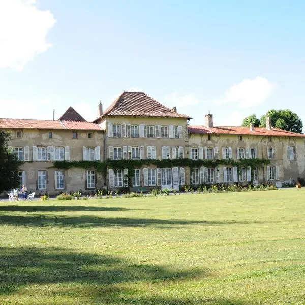 阿特维勒城堡酒店，位于Bourgaltroff的酒店