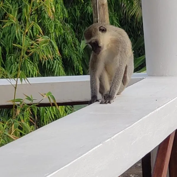 Bella Breeze1 - Diani Beach, Kenya，位于迪亚尼海滩的酒店