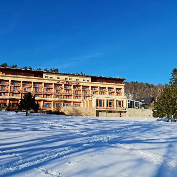 活力康体度假酒店，位于Vidče的酒店