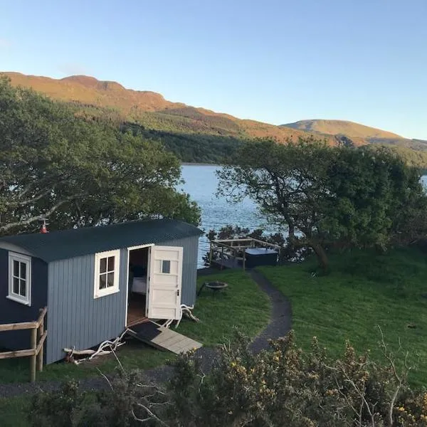 Snowdonia Shepherds Hut + Hot Tub，位于Llanddwywe的酒店