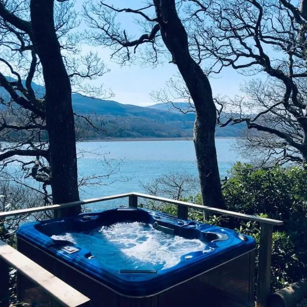 Waterside Cader Cabin with Hot Tub，位于Llanddwywe的酒店