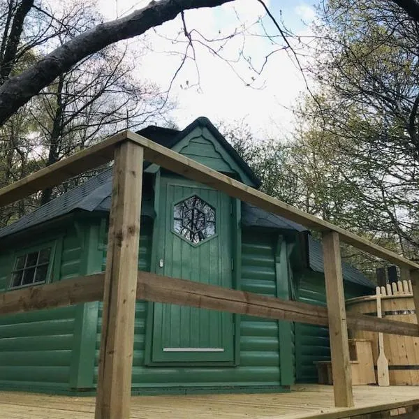 Woodland Cabin with Hot tub & log burner，位于Llanddwywe的酒店