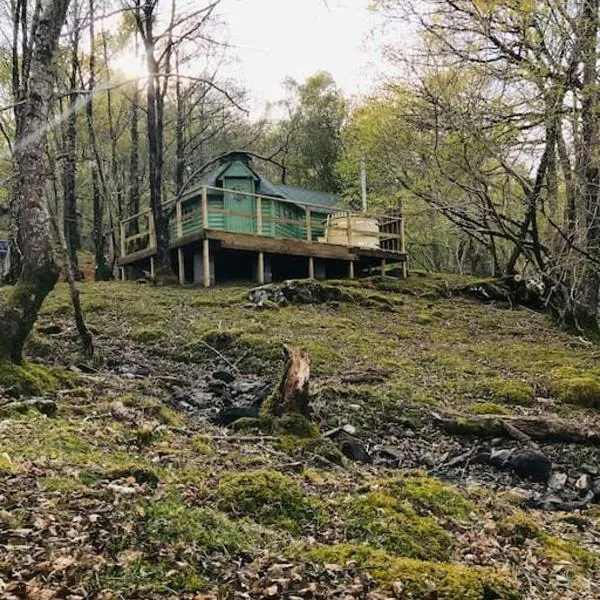 Tree Top Cabin with log burner & private hot tub，位于Llanddwywe的酒店