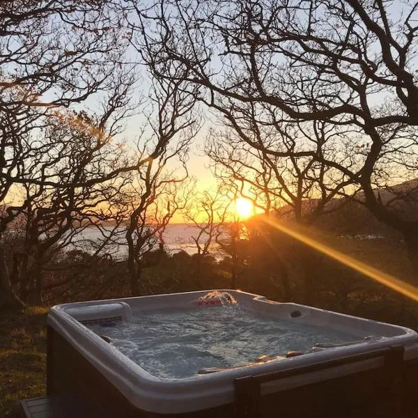 Snowdonia Mawddach Cabin + hot tub，位于Llanddwywe的酒店