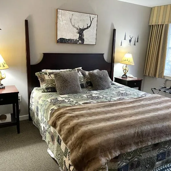 Ski On Off 1BR Suite 1st Flr Sleeps 4 Jiminy Peak，位于Stephentown的酒店