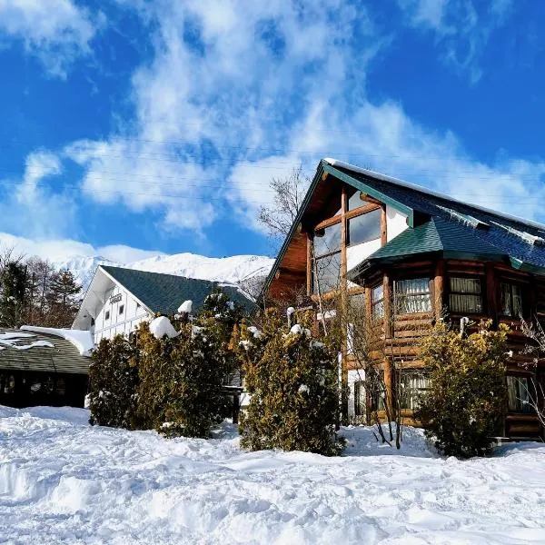 Hakuba Pension & Log Hotel Meteor，位于Hakuba的酒店