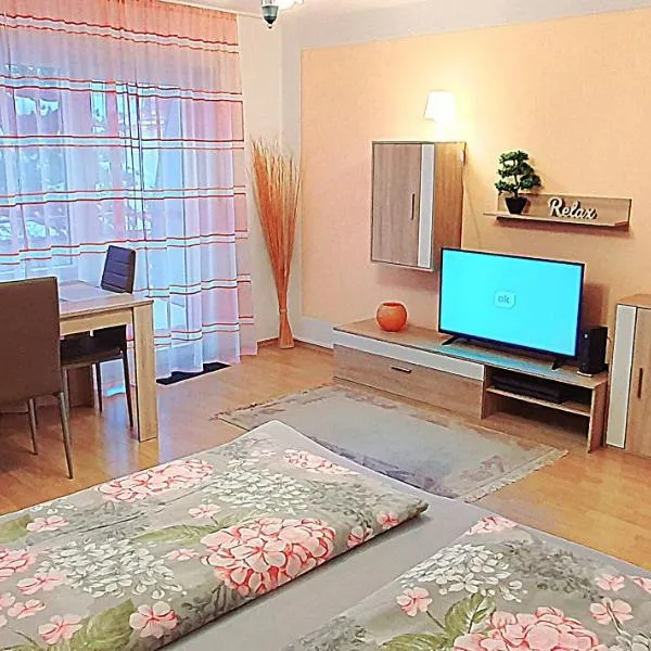 Ferienwohnung Schöne Aussicht，位于朗根阿根的酒店