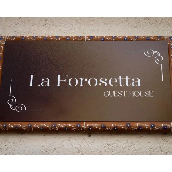 La Forosetta Guest House，位于诺尔恰的酒店