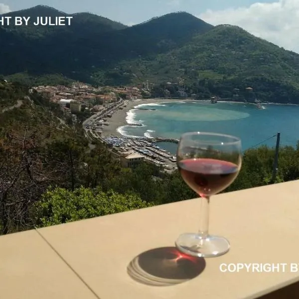 Juliet - apartment in Liguria 5 Terre UNESCO site，位于莱万托的酒店