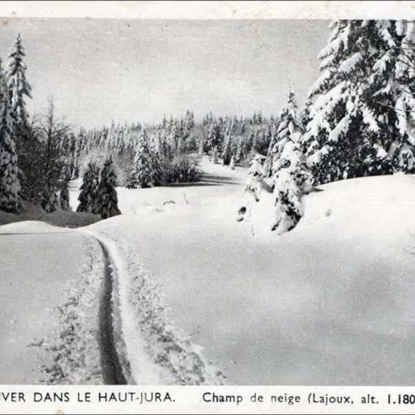 Gîte sur Châtillon，位于Vaux-lès-Saint-Claude的酒店