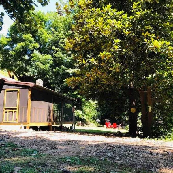 Cabin at the cove at Watauga Lake，位于Roan Mountain的酒店