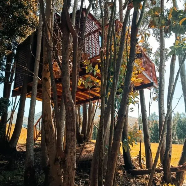 Casa en el Árbol Guatavita，位于Guatavita的酒店