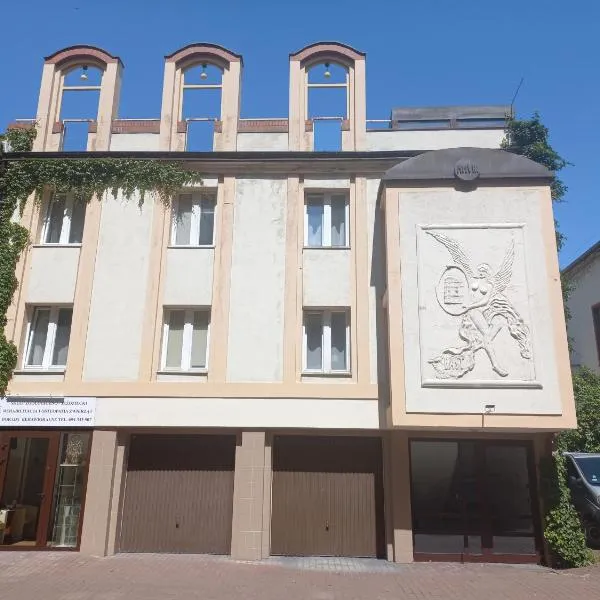 Willa Pod Aniołem，位于伊诺弗罗茨瓦夫的酒店