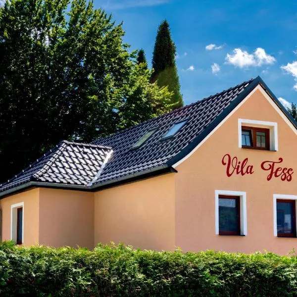 Vila Tess，位于Smržovka的酒店