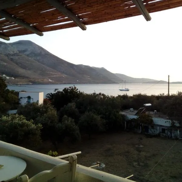 Elia - Studios Amorgos - near the sea，位于阿吉亚利的酒店