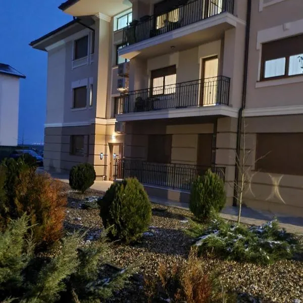 3 bedroom apartment，位于Dumbrăviţa的酒店