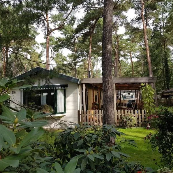 Mooi chalet met grote tuin op een 4 sterren park.，位于Doornspijk的酒店