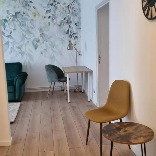 Central Residence，位于巴克乌的酒店