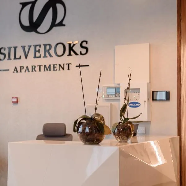 Silveroks Apartment，位于Khlibodarske的酒店