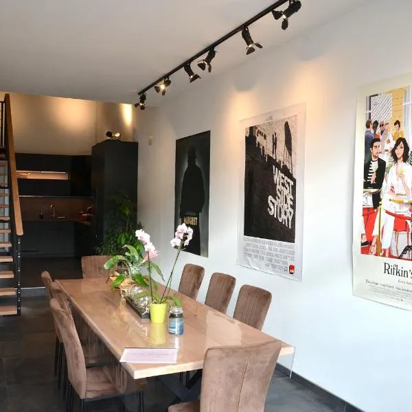 Loft industriel dans une ancienne grange，位于萨尔格米纳的酒店