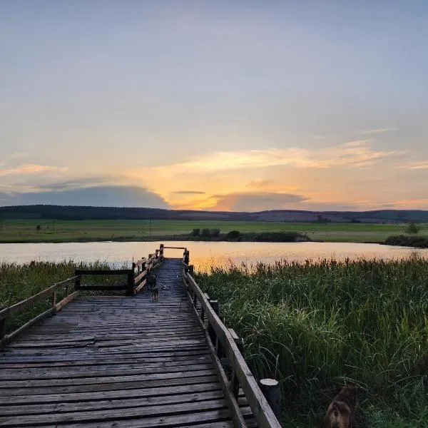 Reedbuck Lodge，位于Amsterdam的酒店
