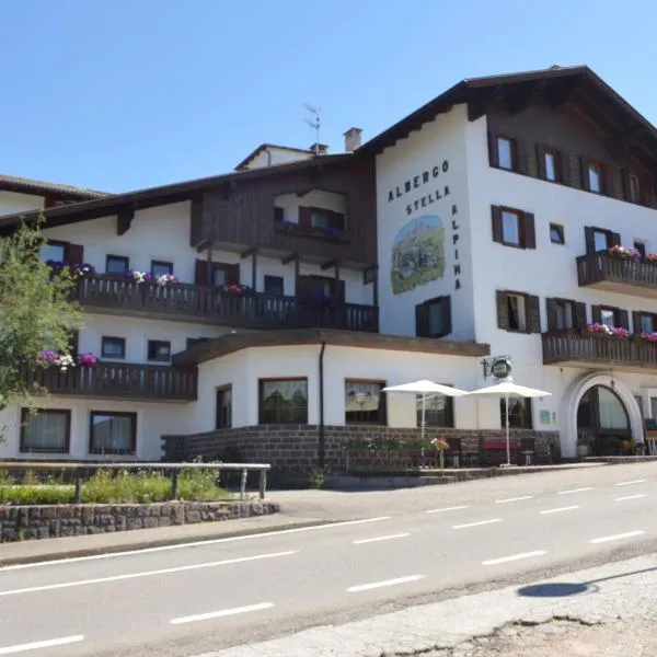 Hotel Stella Alpina，位于潘基阿的酒店