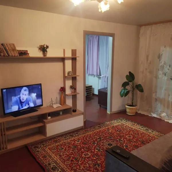 3-х комнатная квартира по улице Коцюбинского, дом 9 дробь 6，位于Vlasovka的酒店
